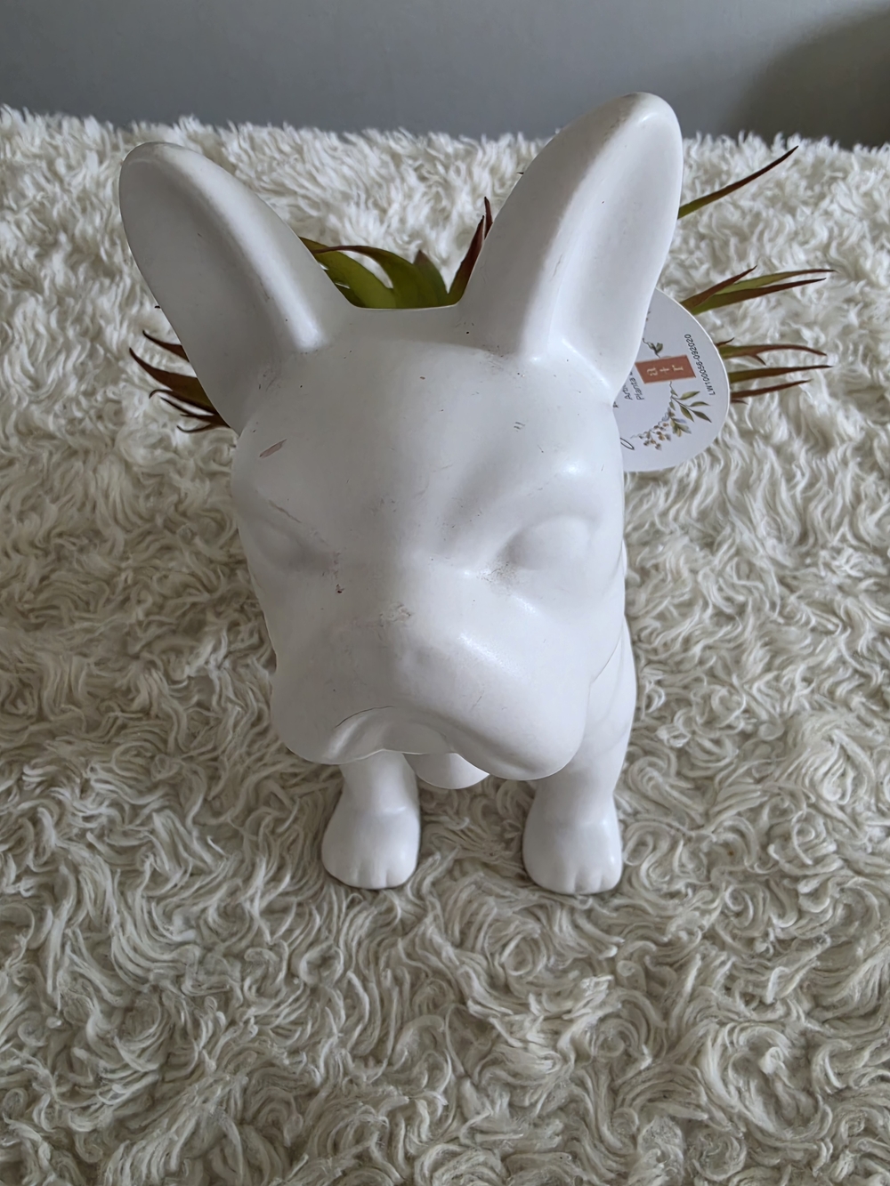White Ceramic French Bulldog Planter - Decorative Wall‎ Accent